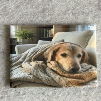 Le Trio Découverte - 3 Magnets Photo